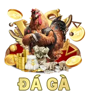 Hành vi người dùng 51win nhà cái